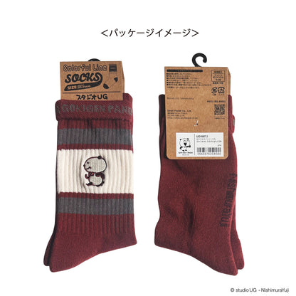 カラフルラインソックス　ごきげんぱんだ